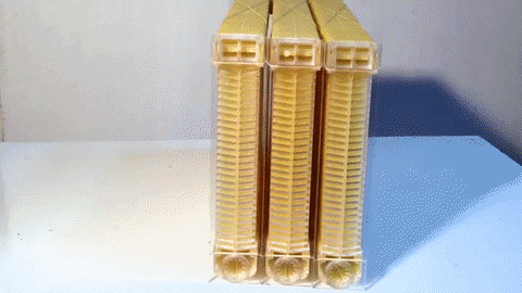 sposób kochanie GIF