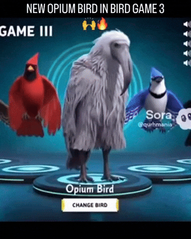 Bird Opium GIF