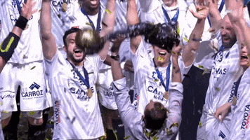champions league celebration GIF by EHF