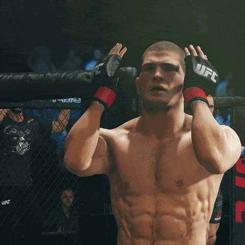 wipe khabib nurmagomedov GIF by EA SPORTS UFC