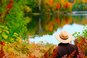 Claude Monet Impressionism GIF