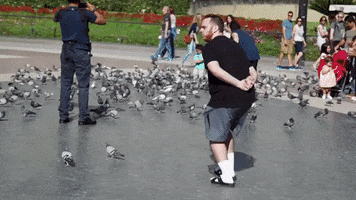 Pigeons Silly Walks GIF by LLIMOO