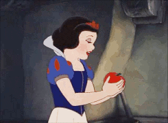 Snow White Apple GIF - Find & Share on GIPHY