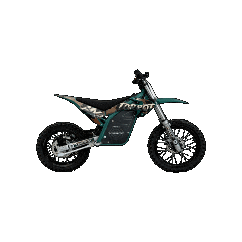 Racing Model Sticker by Torrot