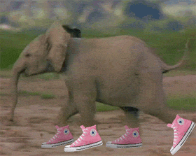 Funny Gif Converse GIF