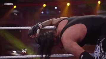 Wrestlemania Xxvi Wrestling GIF by WWE