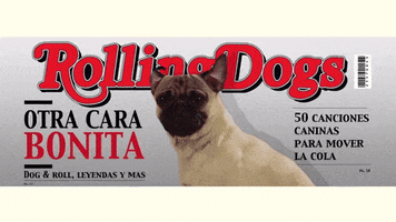#pug GIF by Sony Music Colombia