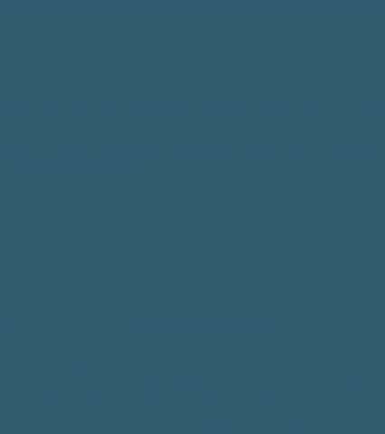 Bravura GIF