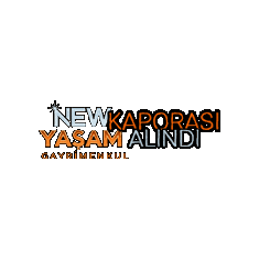 Newyasam Sticker by Dogukan