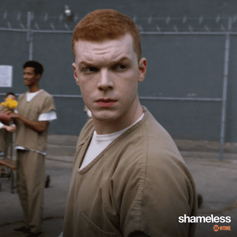 episode 2 what GIF by Shameless