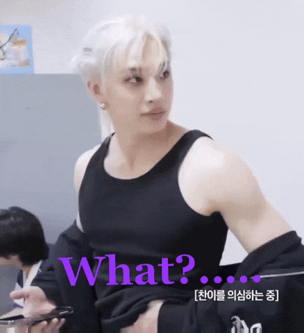 Stray Kids What GIF