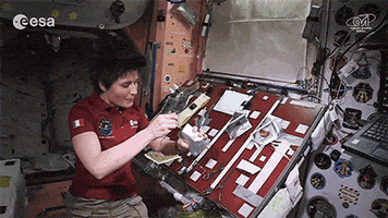 space tacos GIF by Digg