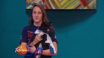 dog dress up GIF by Rachael Ray Show