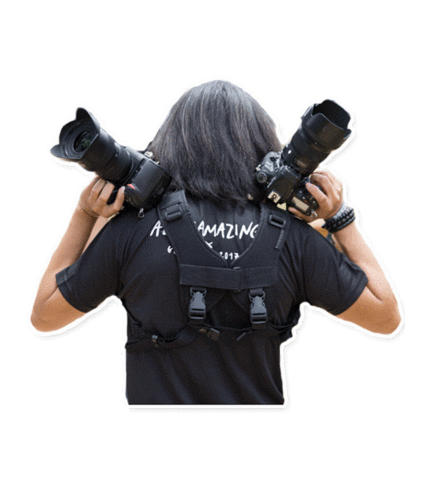 Shooting Big Guns Sticker