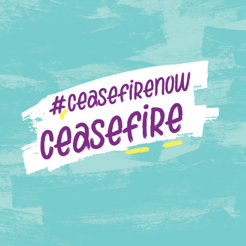 Cease Fire Peace GIF by PVDA