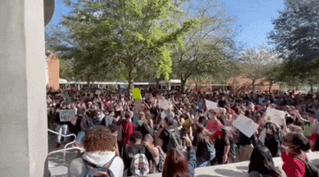 Florida Protest GIF by GIPHY News