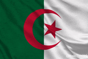 North Africa Flag GIF