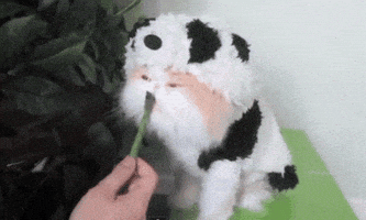 Cat Eating GIF