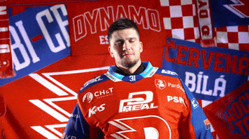 Tomas GIF by HC Dynamo Pardubice