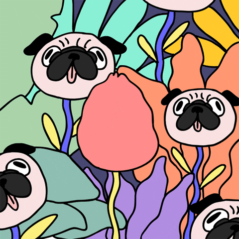 Fairy-forest GIFs - Get the best GIF on GIPHY
