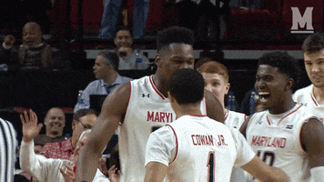 yelling college basketball GIF by Maryland Terrapins