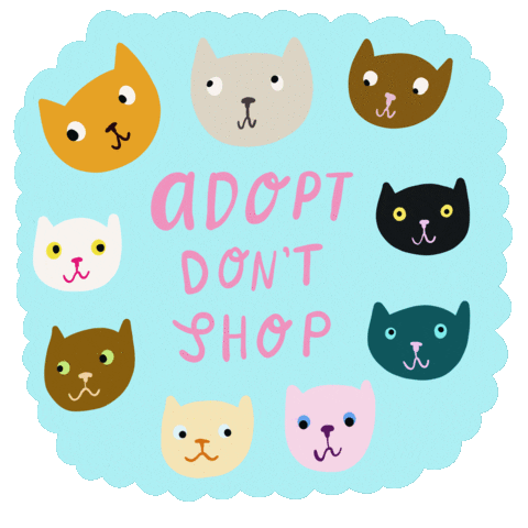 Cat Rescue Adopt Dont Shop Sticker by Able And Game