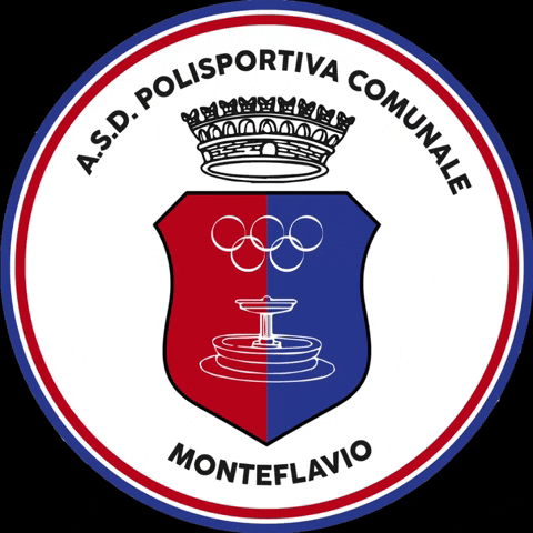 Tmonteflavio GIF by ASD POLISPORTIVA COMUNALE MONTEFLAVIO