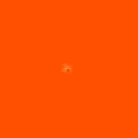 Eduardo Bismarck GIF by GuilhermeBismarck