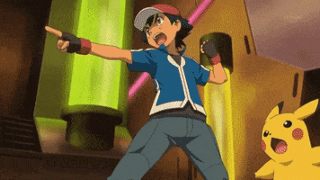 survey  GIF