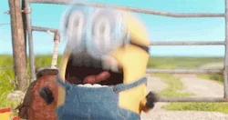 giphy.webp?cid=790b761124a598193a2317637