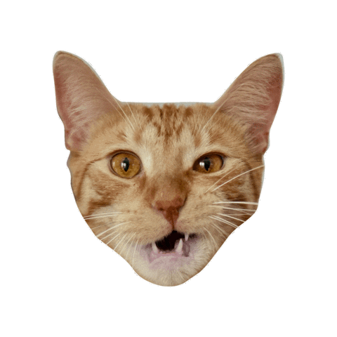 Mylesandspot Sticker