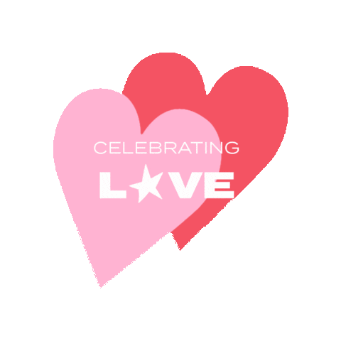 Valentines Day Love Sticker by Label K