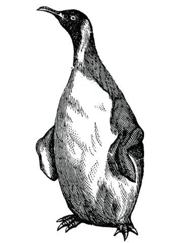 Beestig Jeugdwerk Gent Sticker