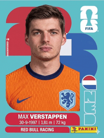 World Cup Fifa GIF