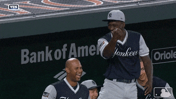 new york yankees GIF by MLB