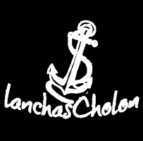 lanchascholon cartagena lanchas lanchascholon GIF