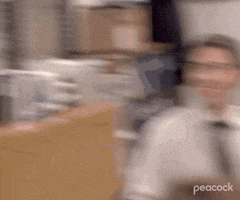 Season 5 Fighting GIF by The Office