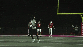 Wamego GIF
