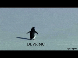 Penguen GIF