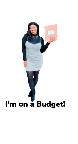 My Budget Binder Sticker