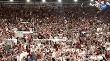 Fluminense GIF