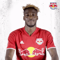 major league soccer GIF by New York Red Bulls