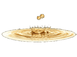 Liquid Gold Sticker