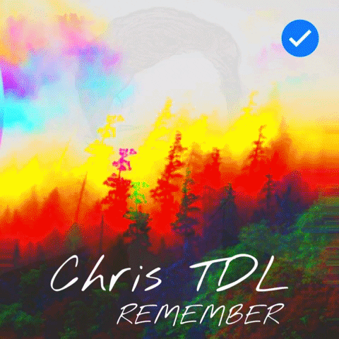 Remember Neon Lights Tour GIF by Chris TDL