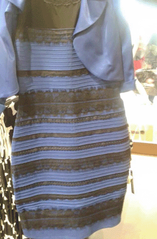 stevedesignsnyc white and gold blue and black whiteandgold blueandblack GIF