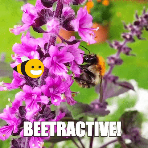flower bee GIF by Volmary