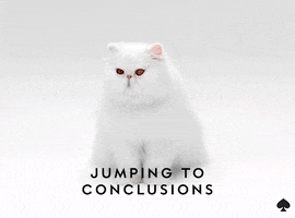 white cat GIF by kate spade new york
