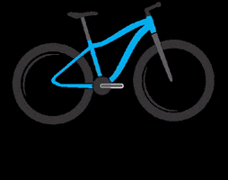 Bike Mtb GIF