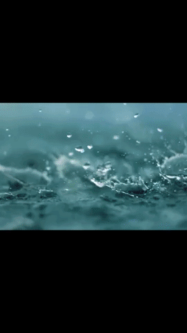 Shop Swimwear GIF