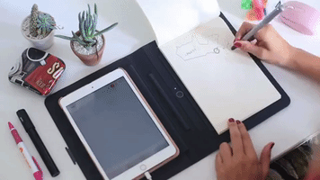Animated GIF